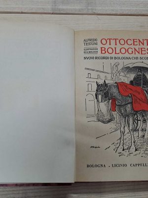 Ottocento Bolognese. Nuovi ricordi di Bologna che scompare.