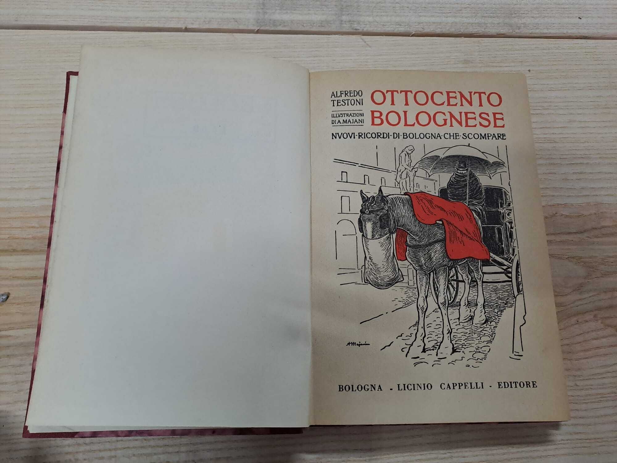 Ottocento Bolognese. Nuovi ricordi di Bologna che scompare.