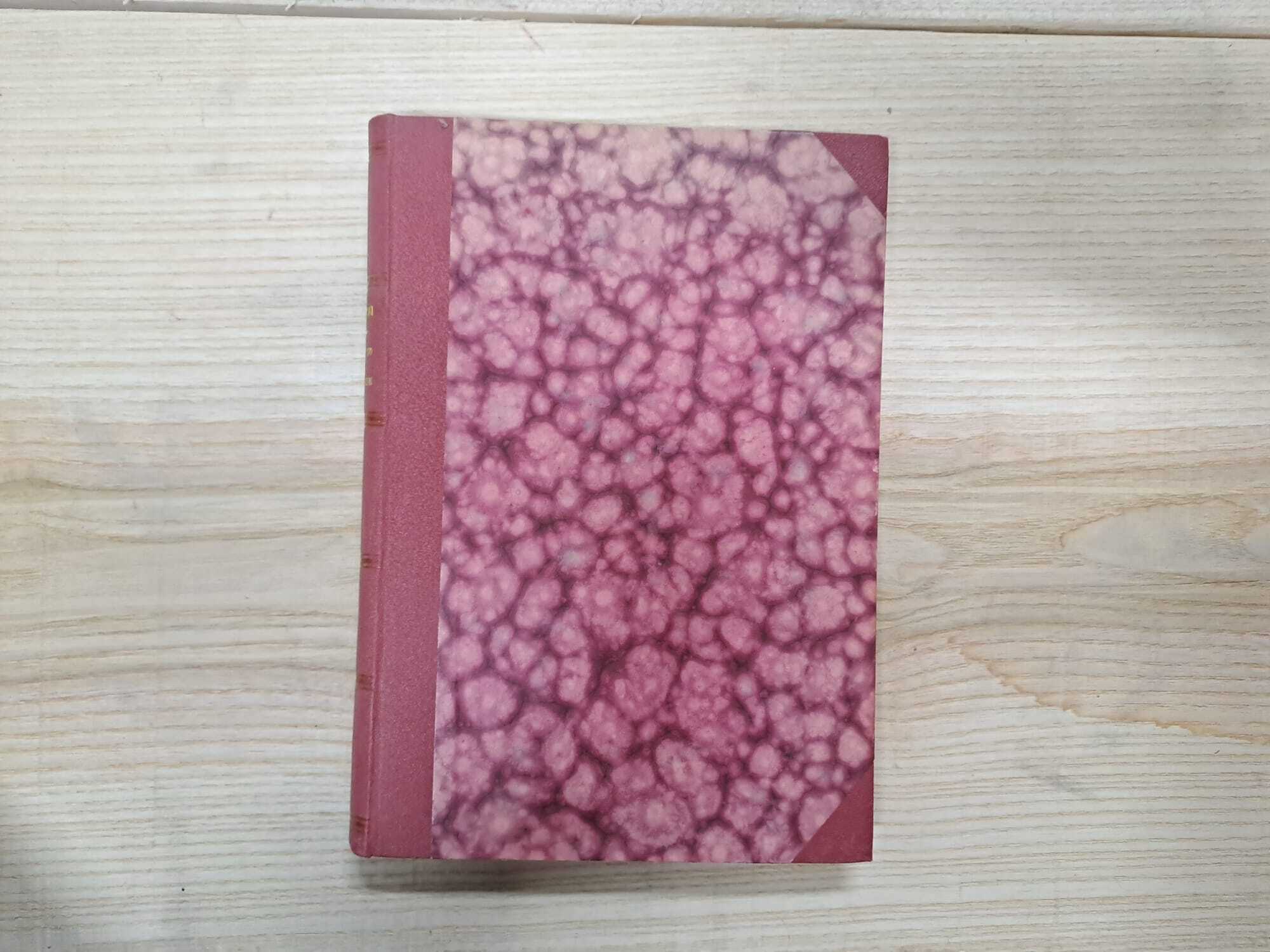 Ottocento Bolognese. Nuovi ricordi di Bologna che scompare. - immagine 2