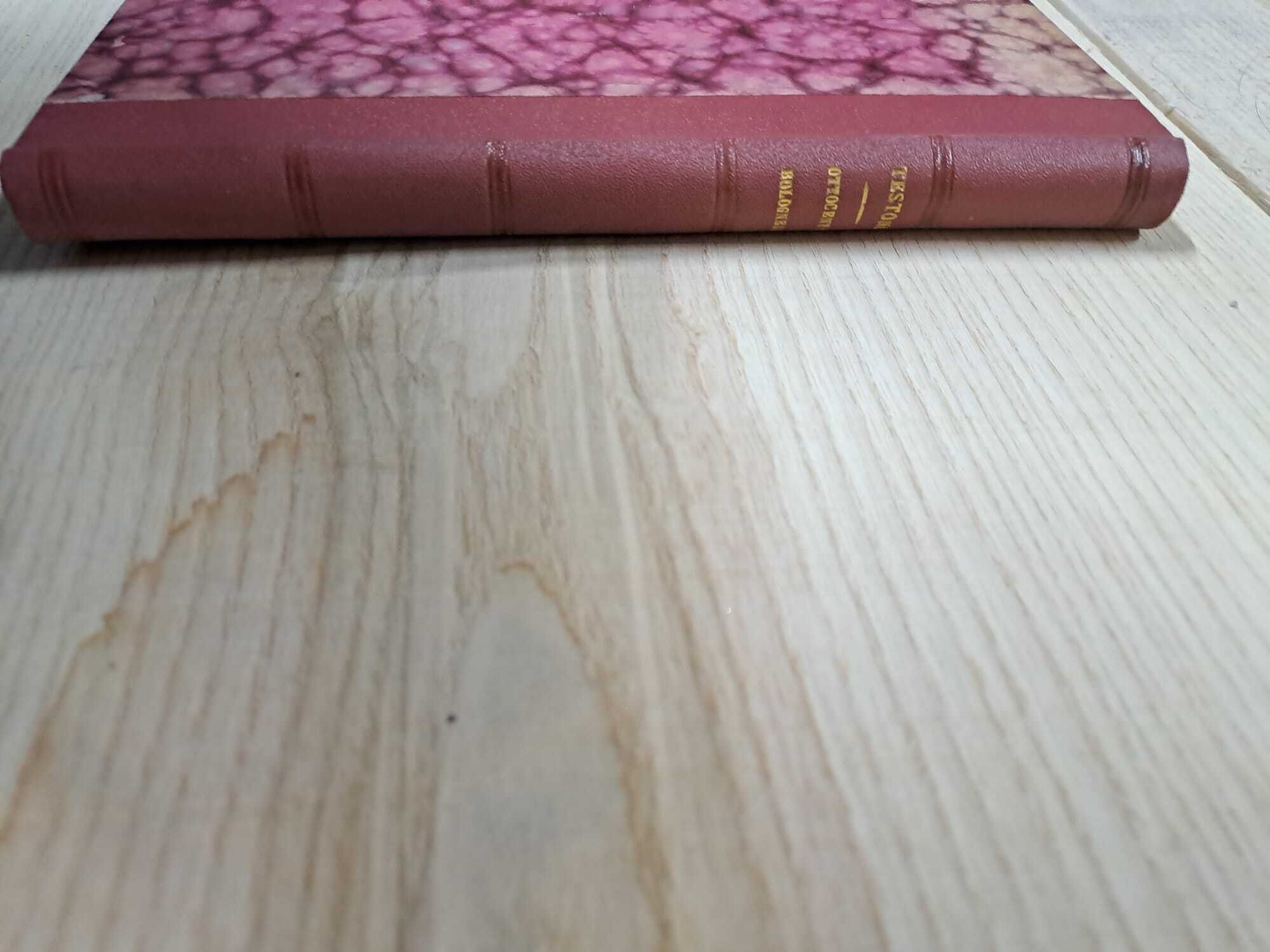 Ottocento Bolognese. Nuovi ricordi di Bologna che scompare. - immagine 3