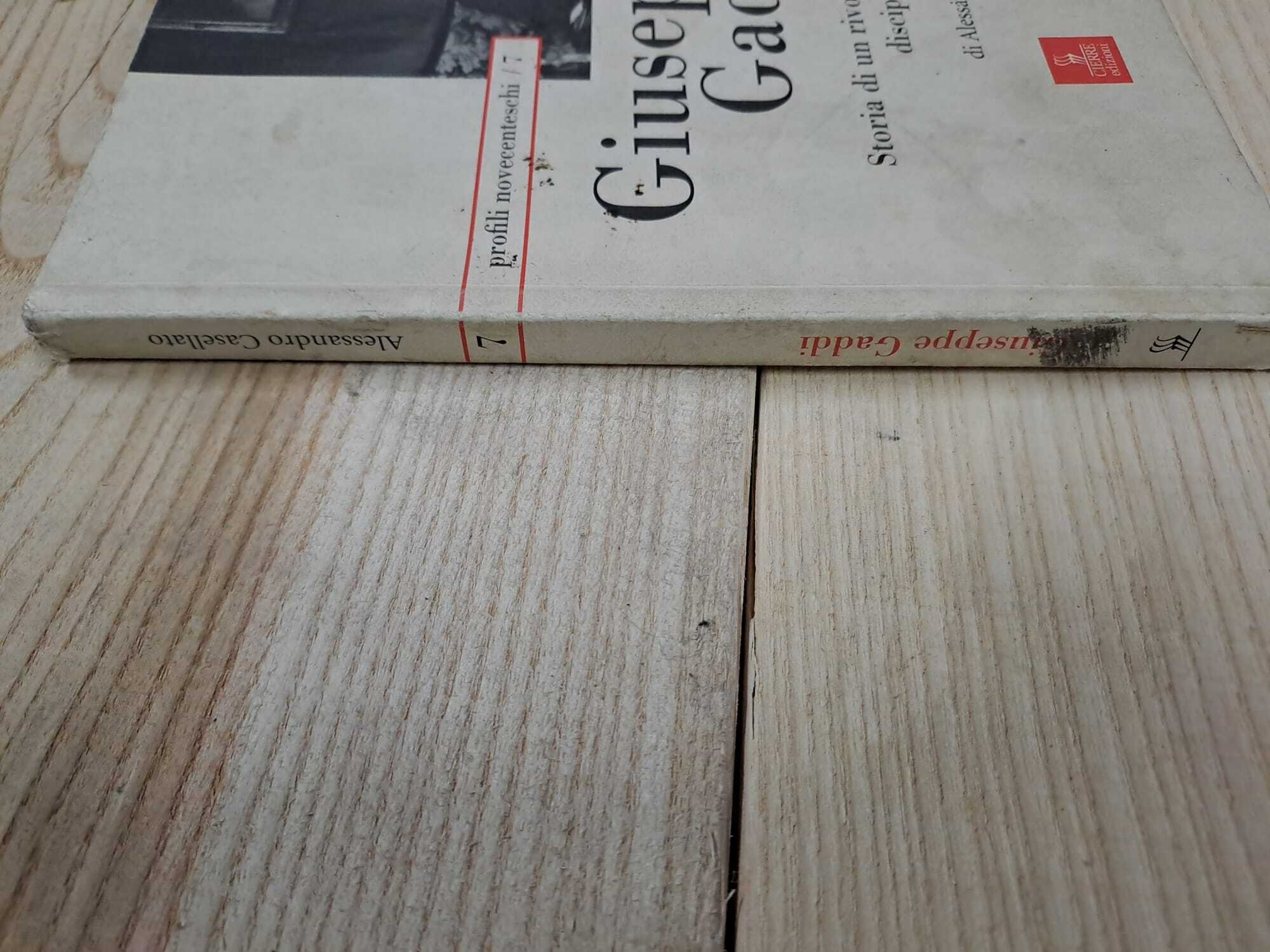 Giuseppe Gaddi. Storia di un rivoluzionario disciplinato - immagine 3