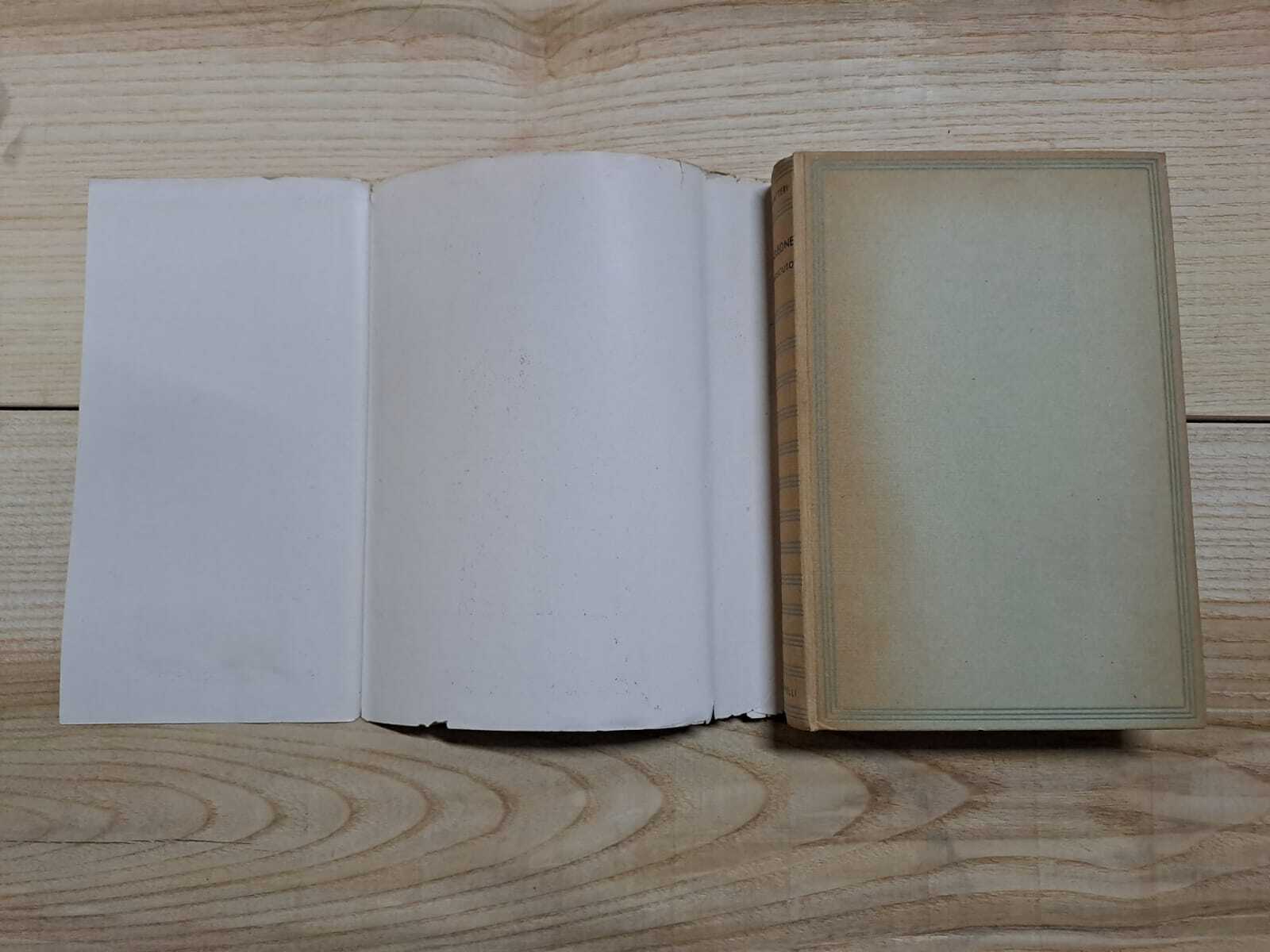 NAPOLEONE SCONOSCIUTO - immagine 3
