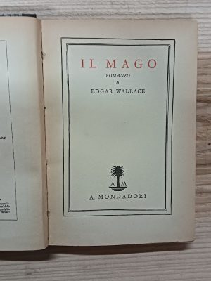 Il mago