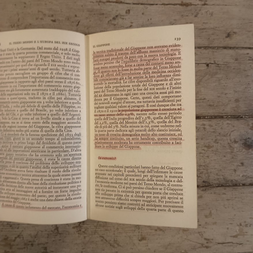 Lo sviluppo bloccato - immagine 3