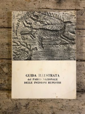 Guida illustrata del Parco Nazionale delle incisioni rupestri
