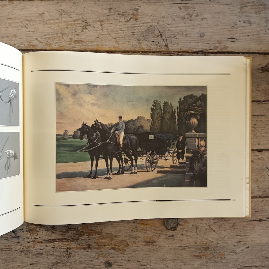 Carrozze e Redini Lunghe. Storia, tradizione e sport - Il Museo della Carrozza di Macerata - immagine 3