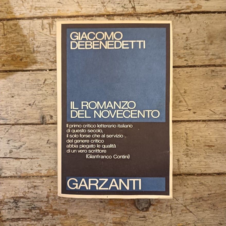 Il romanzo del Novecento