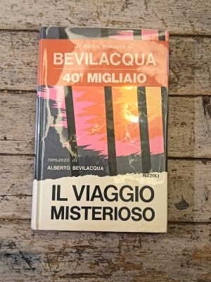Il viaggio misterioso