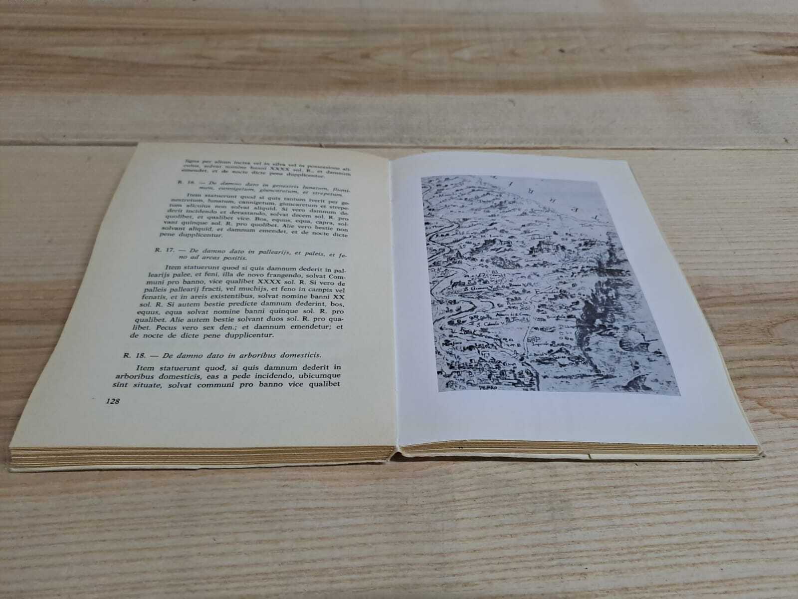 STATUTA TERRE GRADARIE SEC. XIV - immagine 4