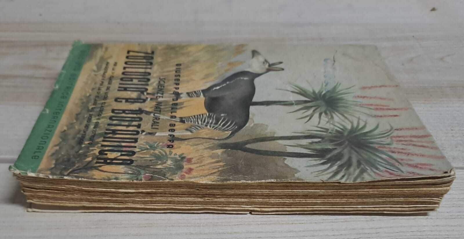 Scienze naturali. Zoologia e botanica. - immagine 2