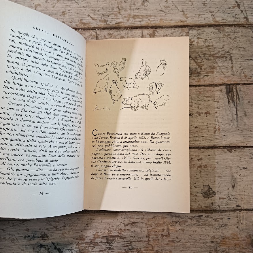 Romano de passaggio - immagine 3