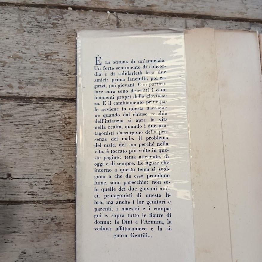 Giovani amici - immagine 2