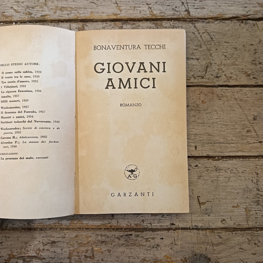 Giovani amici - immagine 4