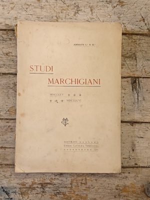 Studi marchigiani 1905-1906
