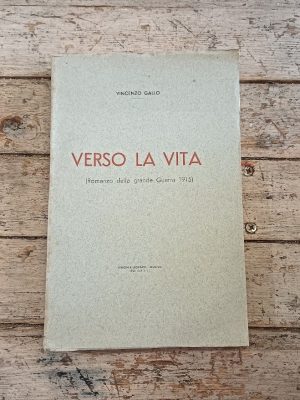 Verso la vita. Romanzo della Grande Guerra 1915