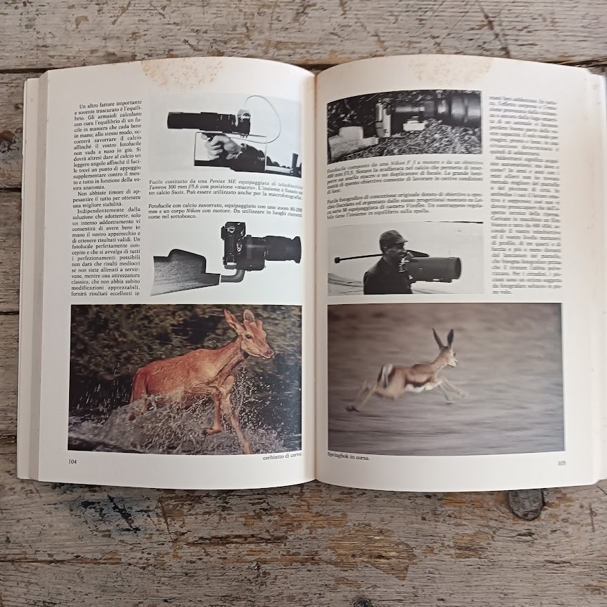 I segreti del fotografo di animali - immagine 3