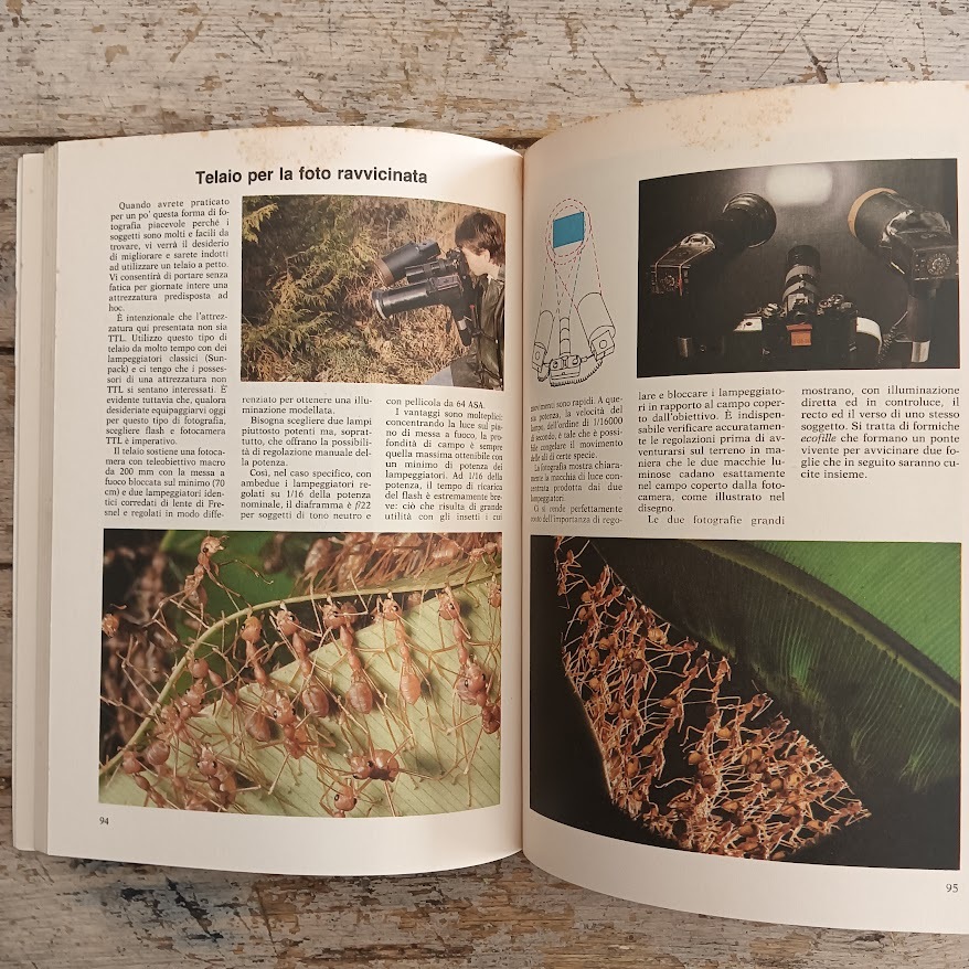 I segreti del fotografo di animali - immagine 4