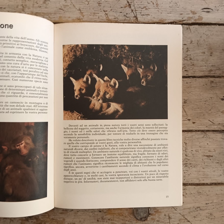 I segreti del fotografo di animali - immagine 6