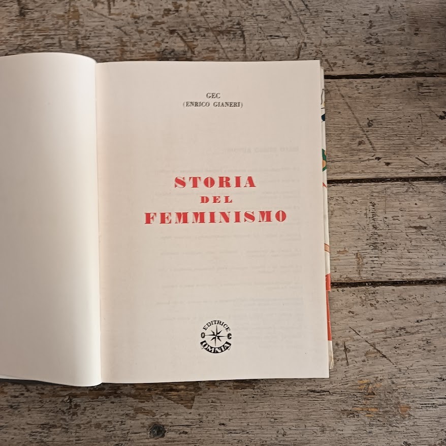 Storia del femminismo - immagine 3