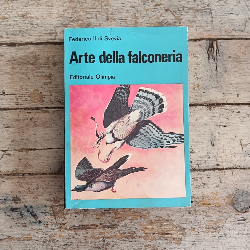 Arte della falconeria