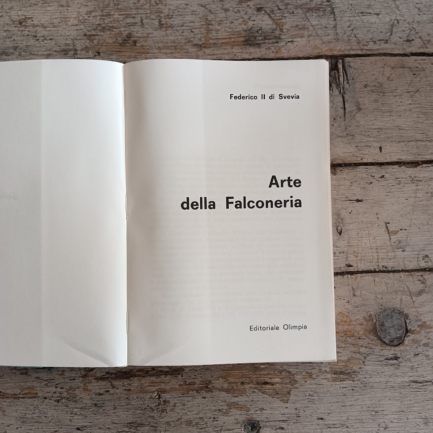 Arte della falconeria - immagine 3