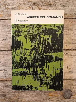 Aspetti del romanzo