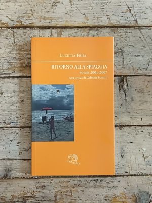 Ritorno alla spiaggia. Poesie 2001-2007