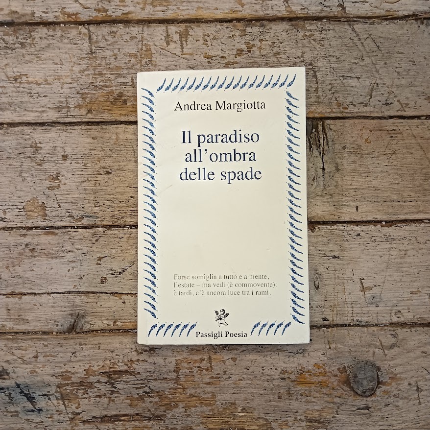 Il paradiso all'ombra delle spade