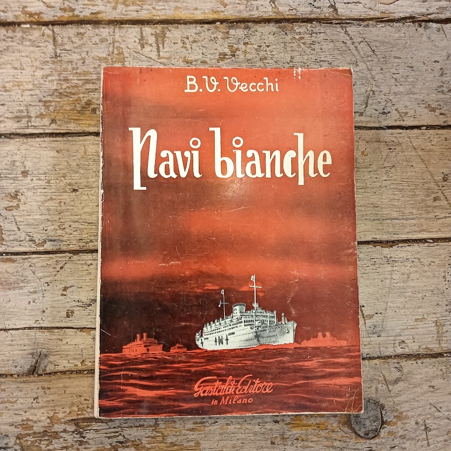 Navi bianche