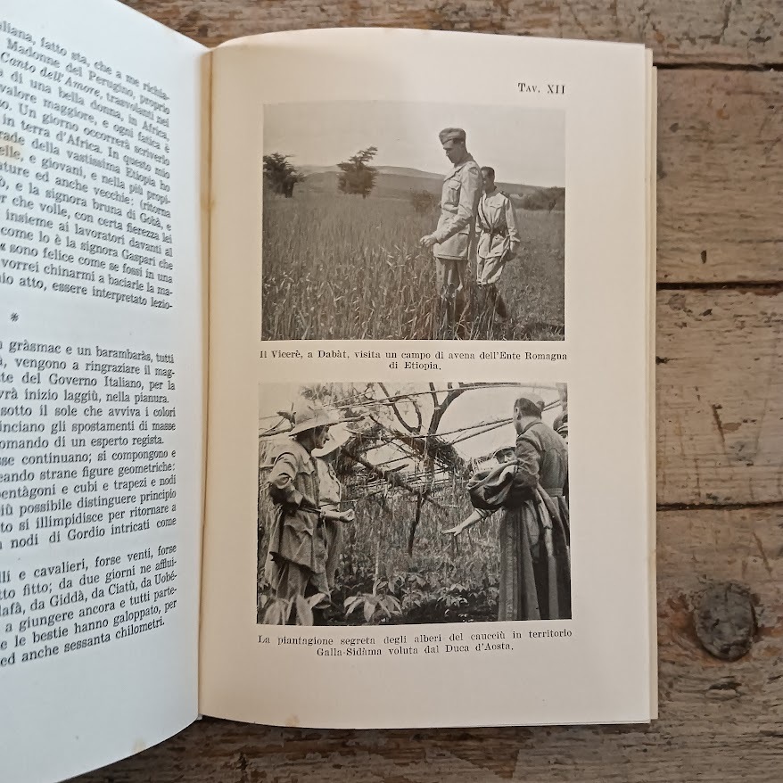 Con Amedeo d'Aosta in Africa Orientale Italiana in pace e in guerra - immagine 5