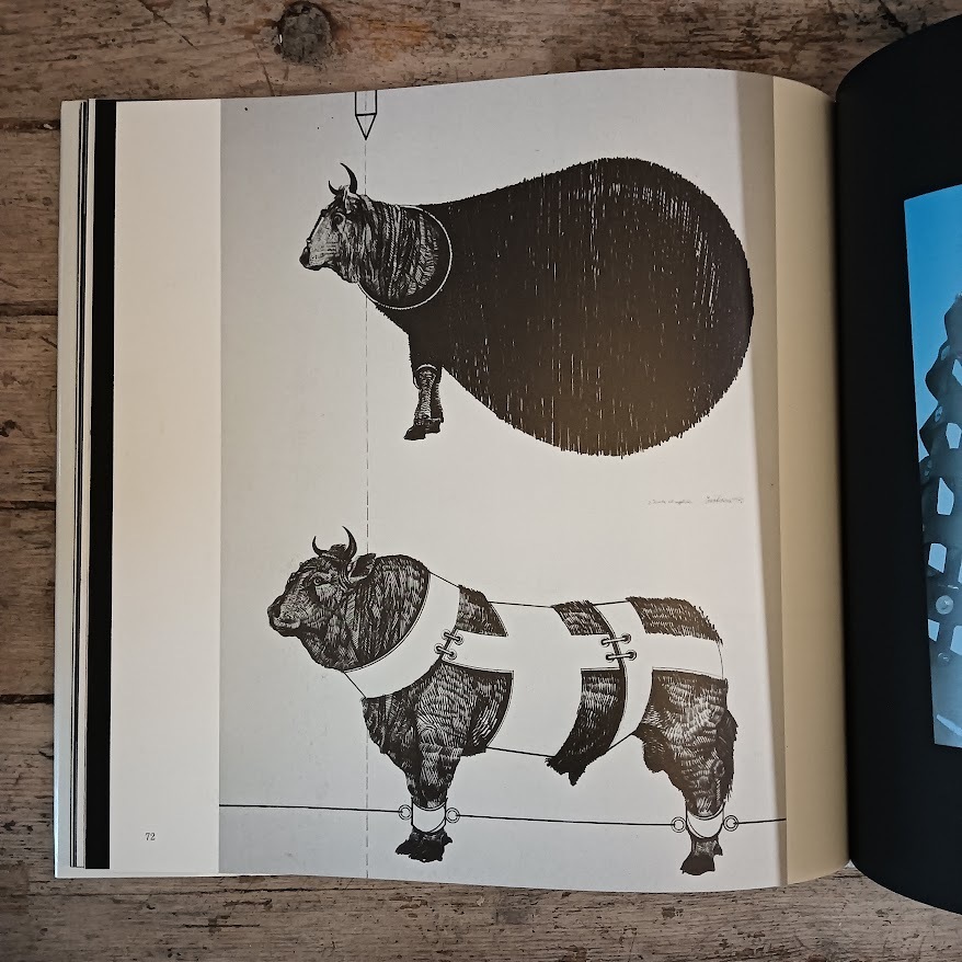 Laudibus Leopardi1970-1987 opere leopardiane di Trubbiani - immagine 5