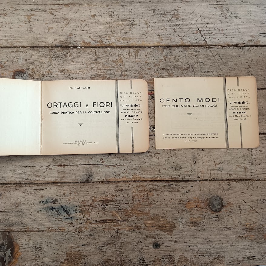 Ortaggi e fiori. Guida pratica per la coltivazione - immagine 3