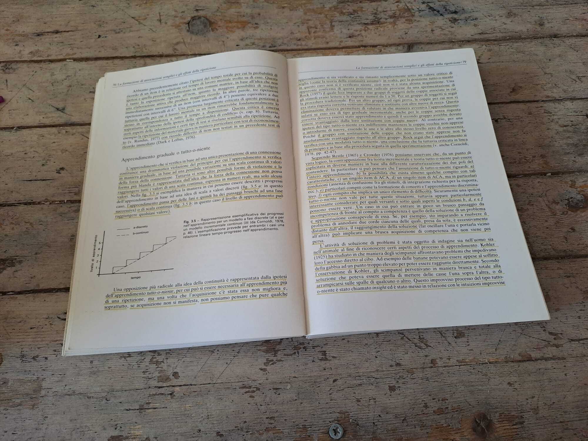 Apprendimento e memoria nell'uomo - immagine 3