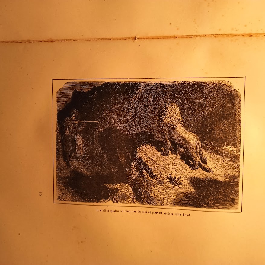 La Chasse au Lion - immagine 4