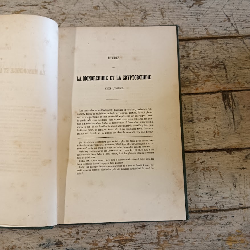 Etudes sur La nonorchidie et la cryptorchidie chez l'homme - immagine 3