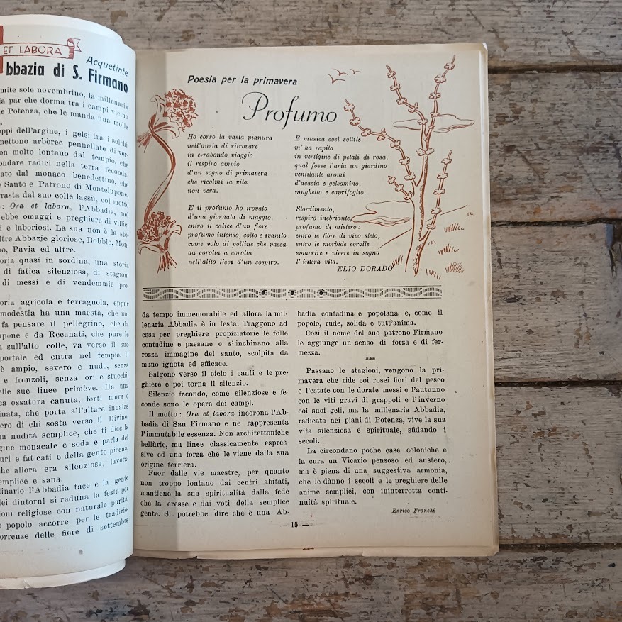 Il Picchio. Almanacco Strenna Maceratese - immagine 4