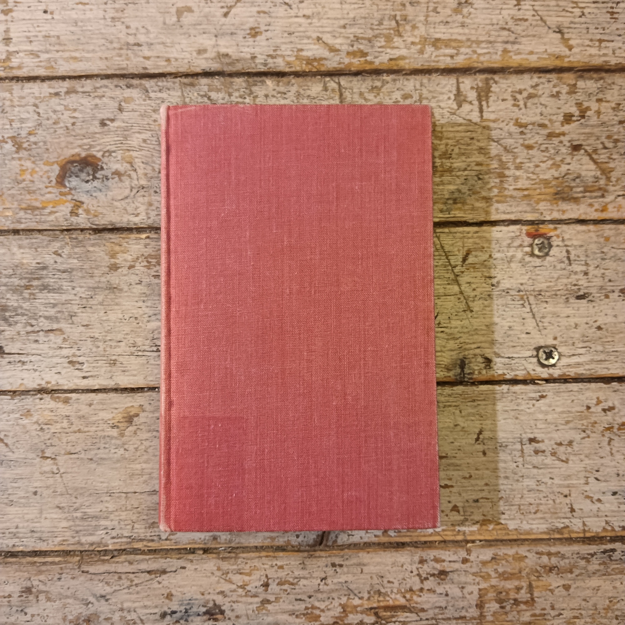 A Journal of the Plague Year - immagine 2