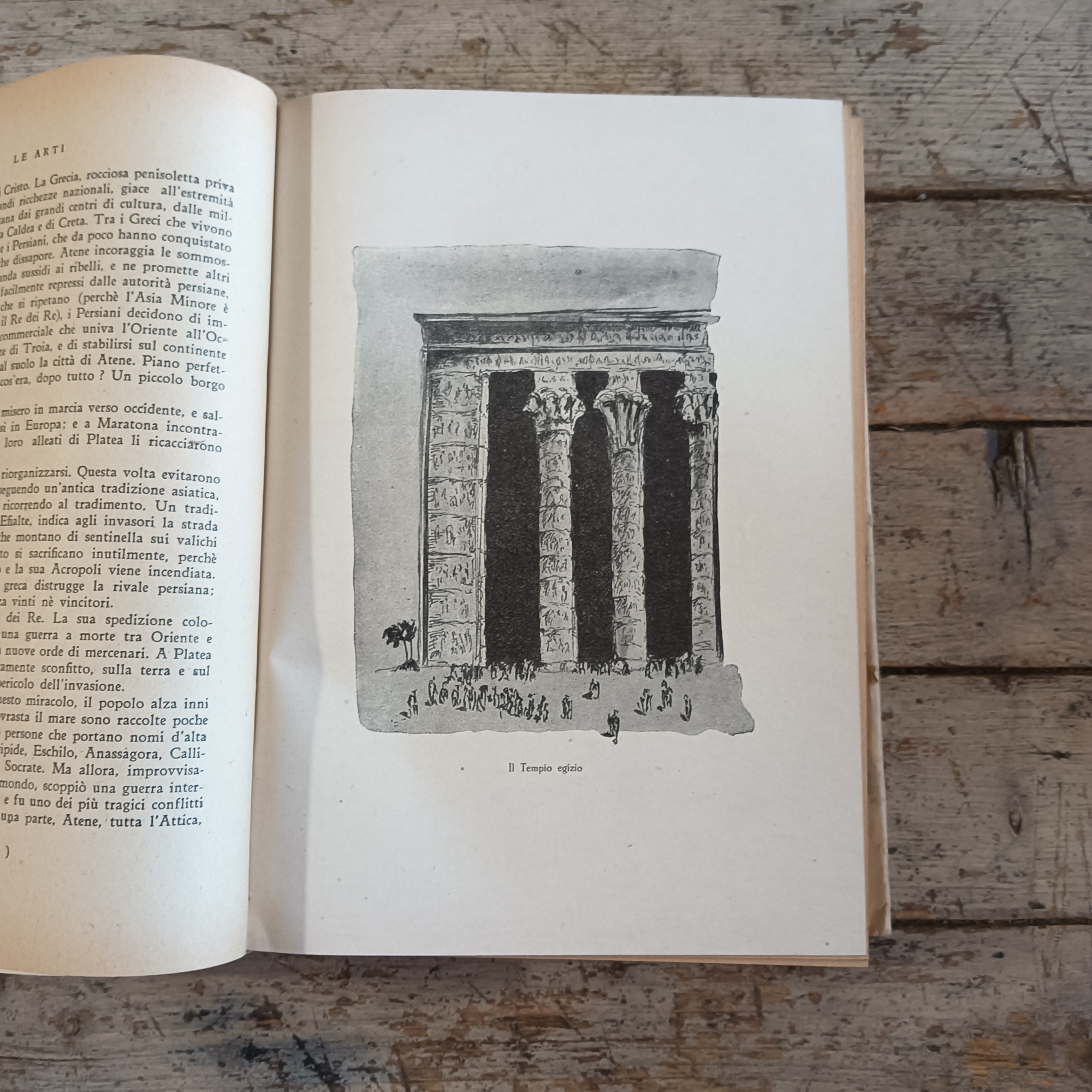 Le arti - immagine 3
