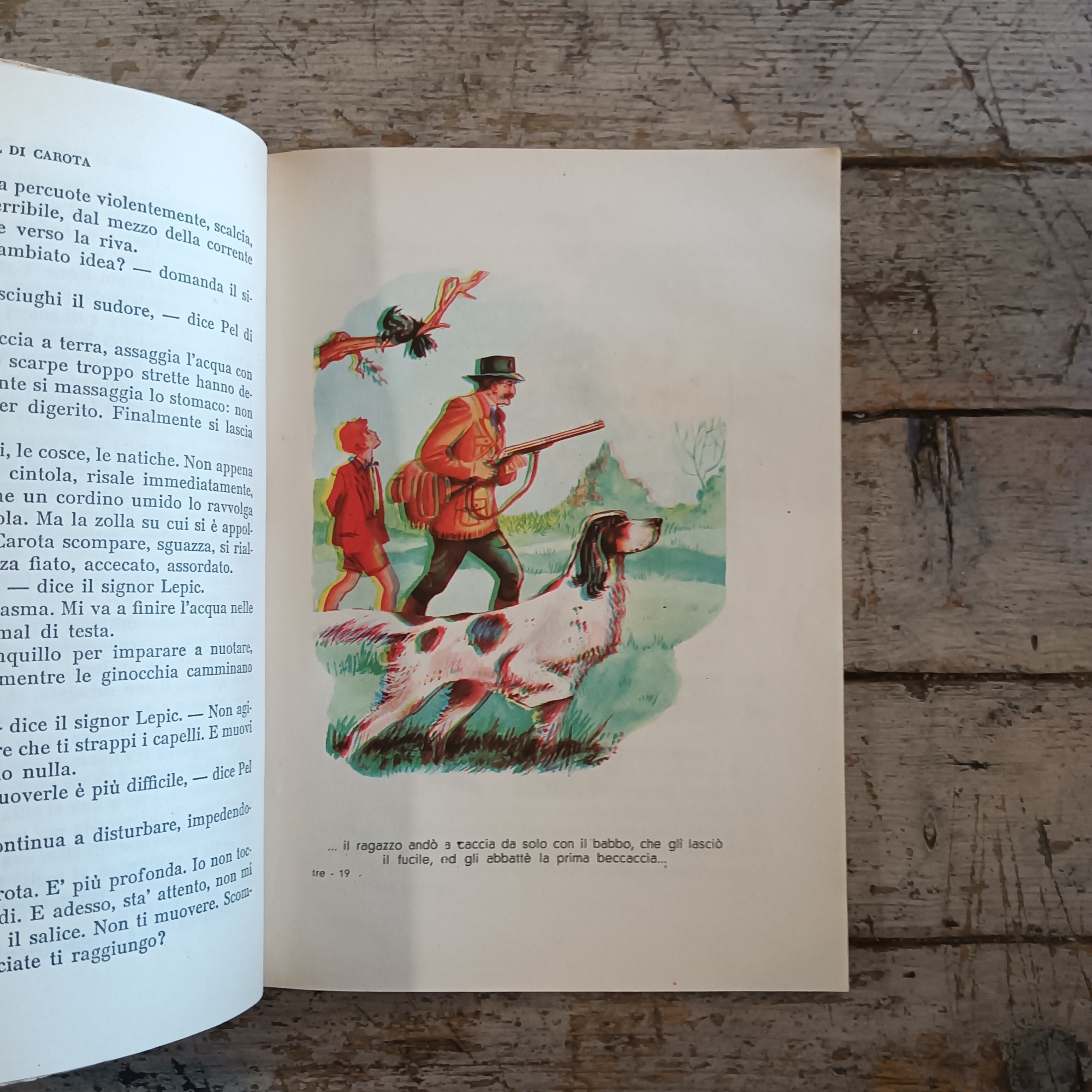 Pel di Carota - immagine 2