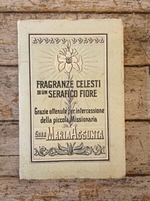 Fragranze celesti di un serafico fiore