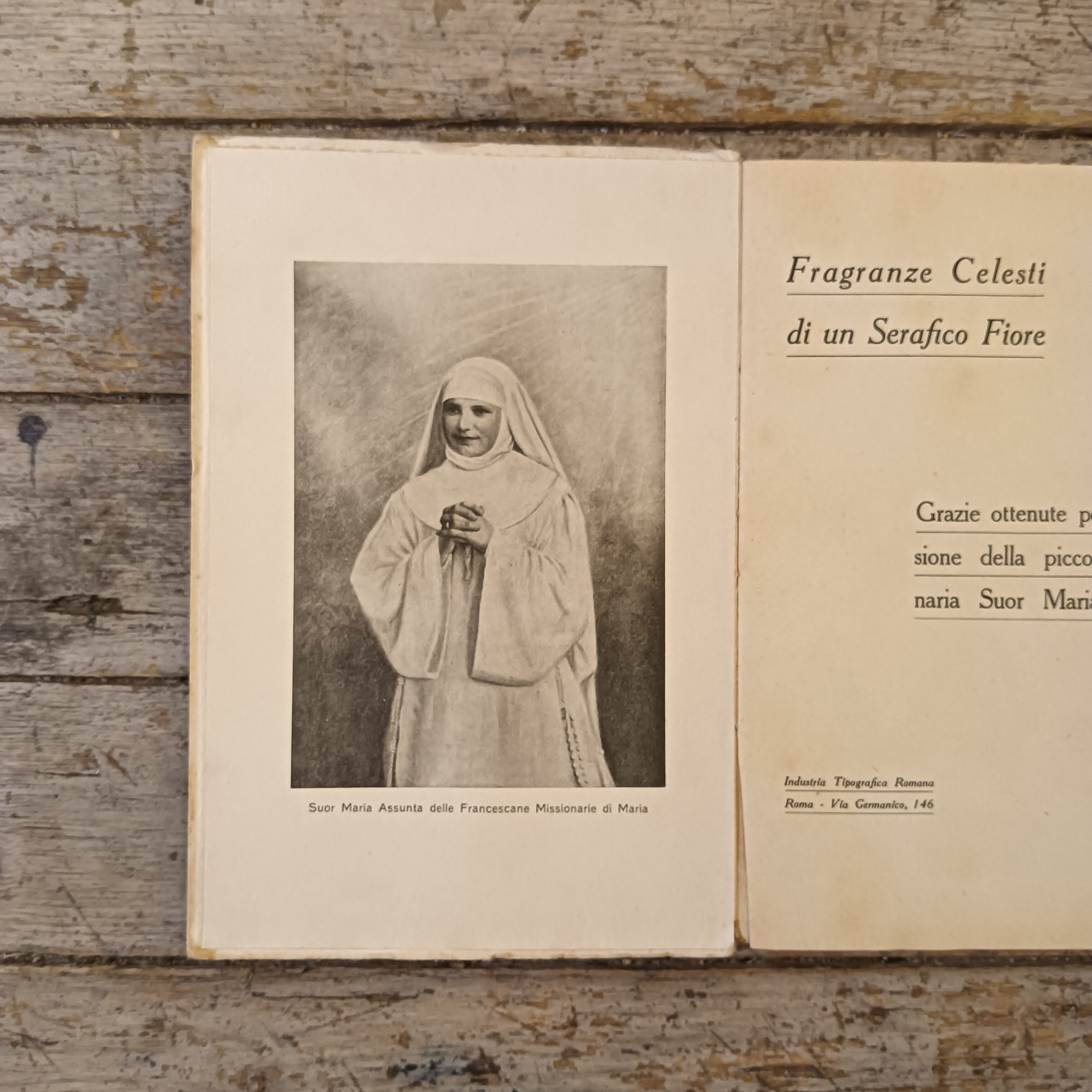Fragranze celesti di un serafico fiore - immagine 2