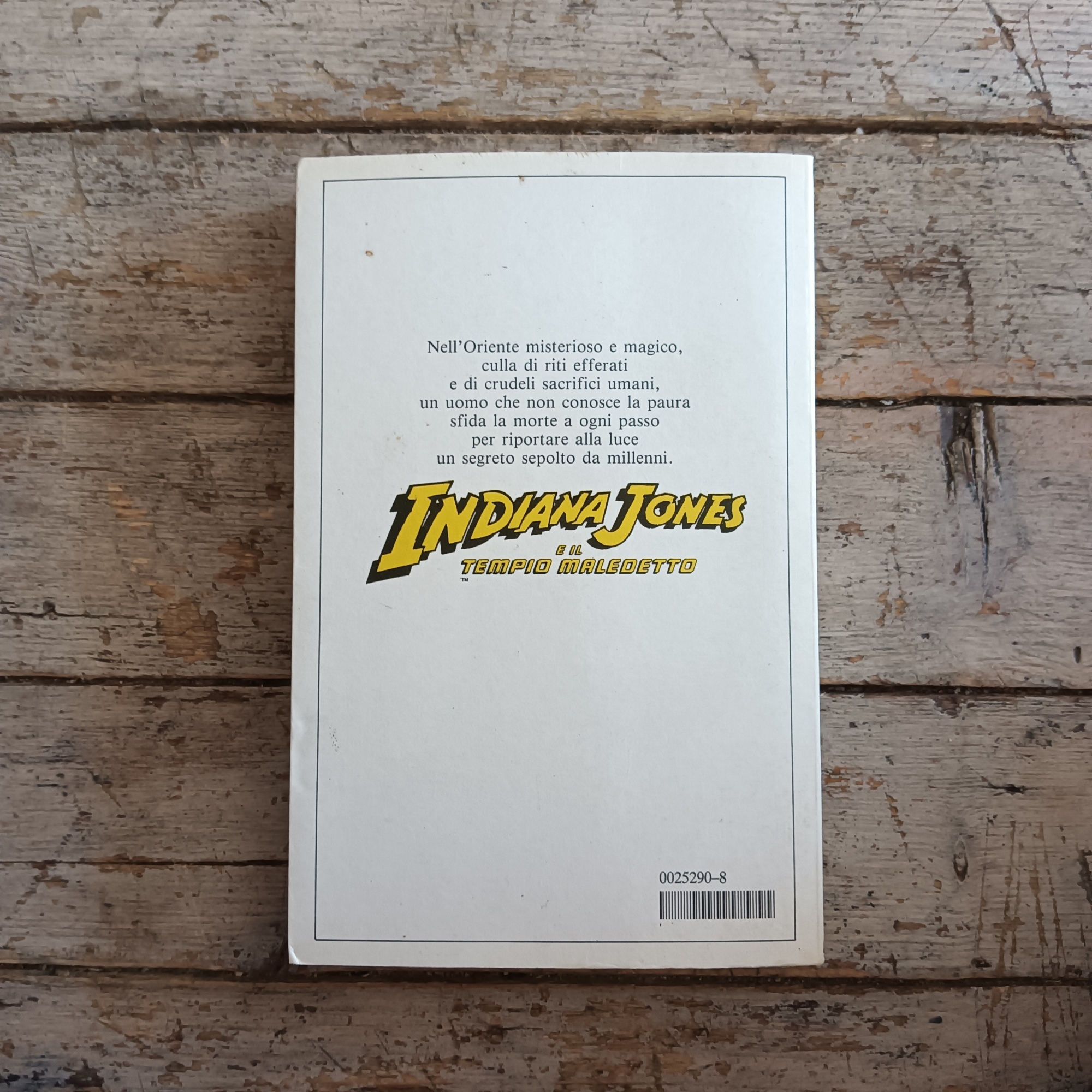 Indiana Jones e il tempio maledetto - immagine 2
