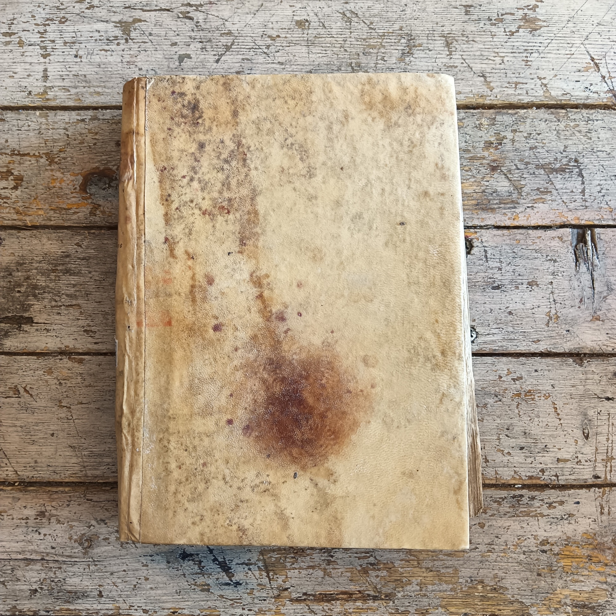 Constitutionum Aegidianarum, sev Marchiae Anconitanae - immagine 2