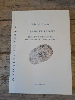 Il senso della neve