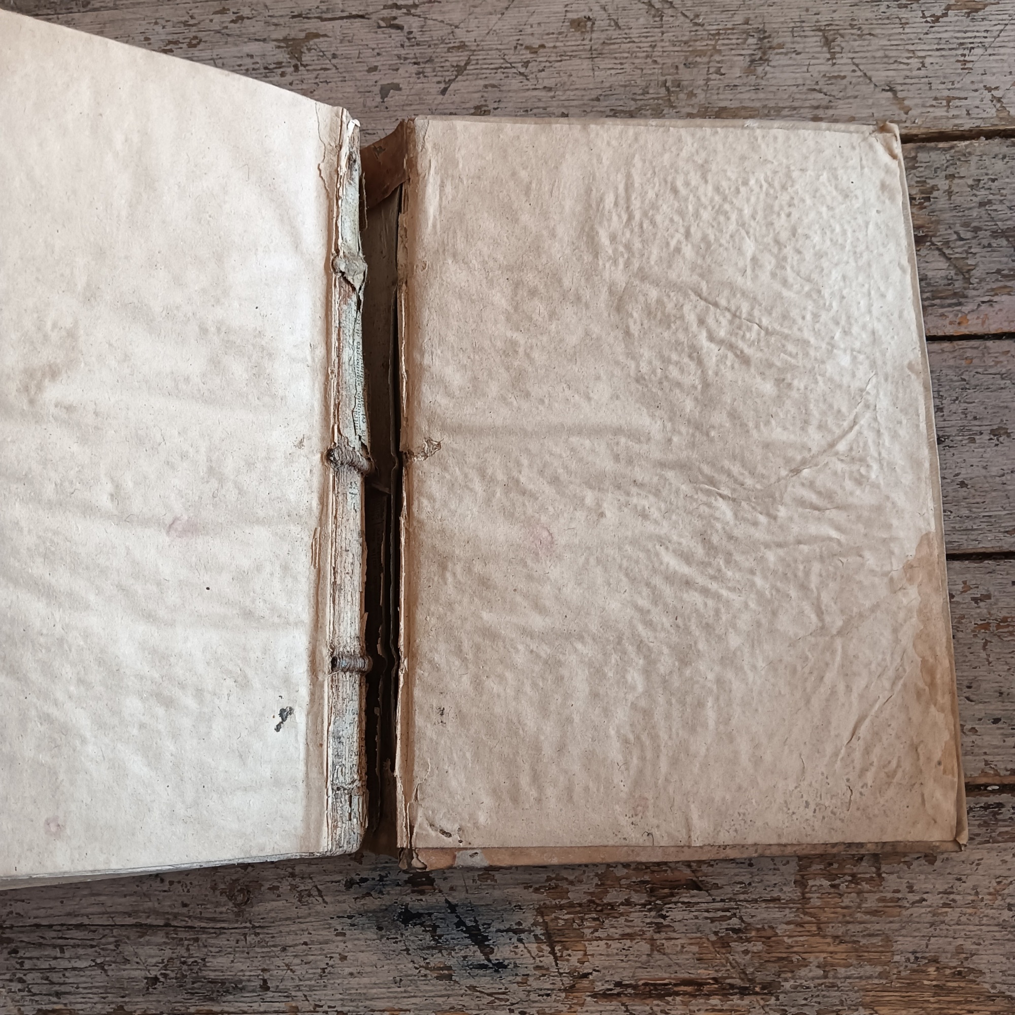 Constitutionum Aegidianarum, sev Marchiae Anconitanae - immagine 7