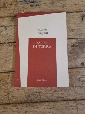 Volo di terra