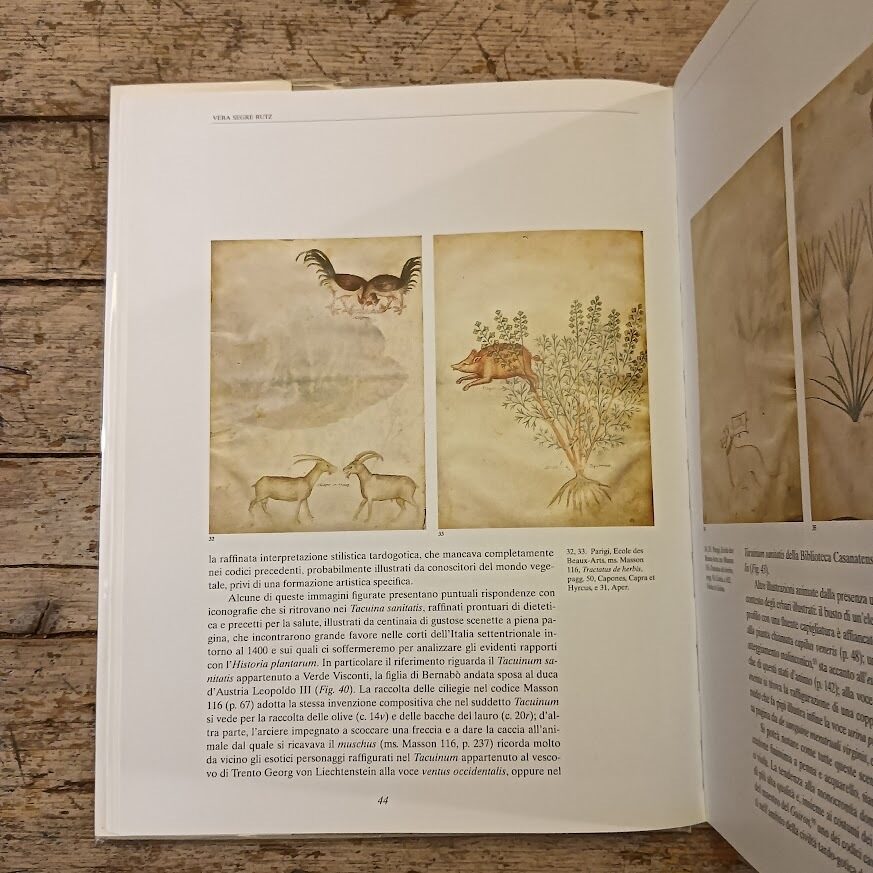 Historia Plantarum. Erbe, oro e medicina nei codici medievali (volume di commento) - immagine 3