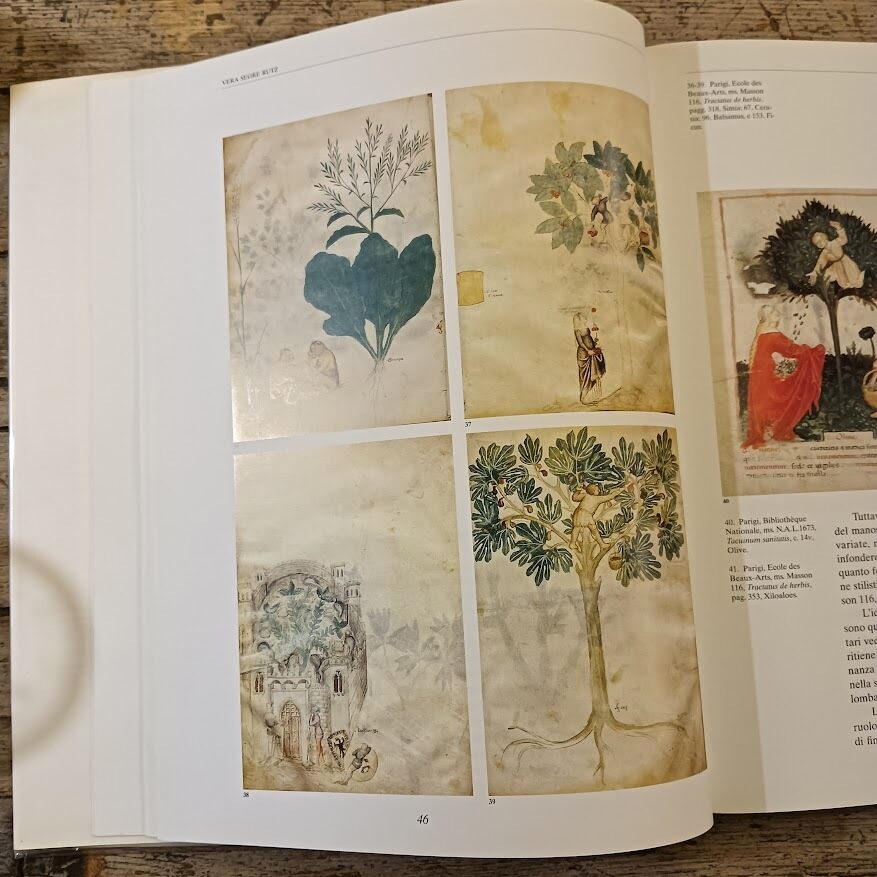 Historia Plantarum. Erbe, oro e medicina nei codici medievali (volume di commento) - immagine 4