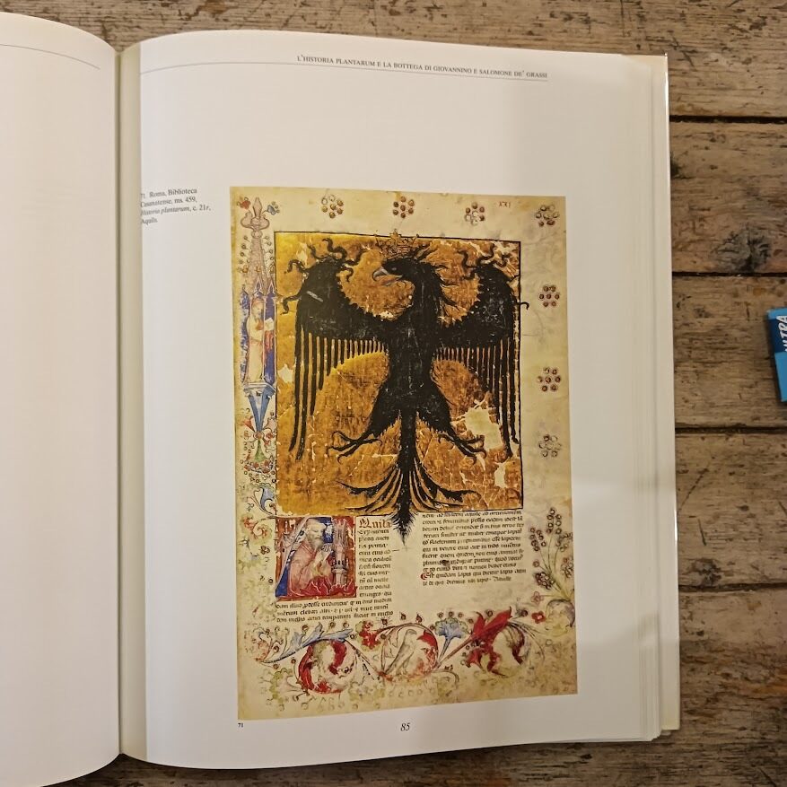 Historia Plantarum. Erbe, oro e medicina nei codici medievali (volume di commento) - immagine 6