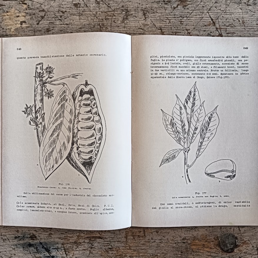 Lezioni di botanica farmaceutica - parte speciale - immagine 5